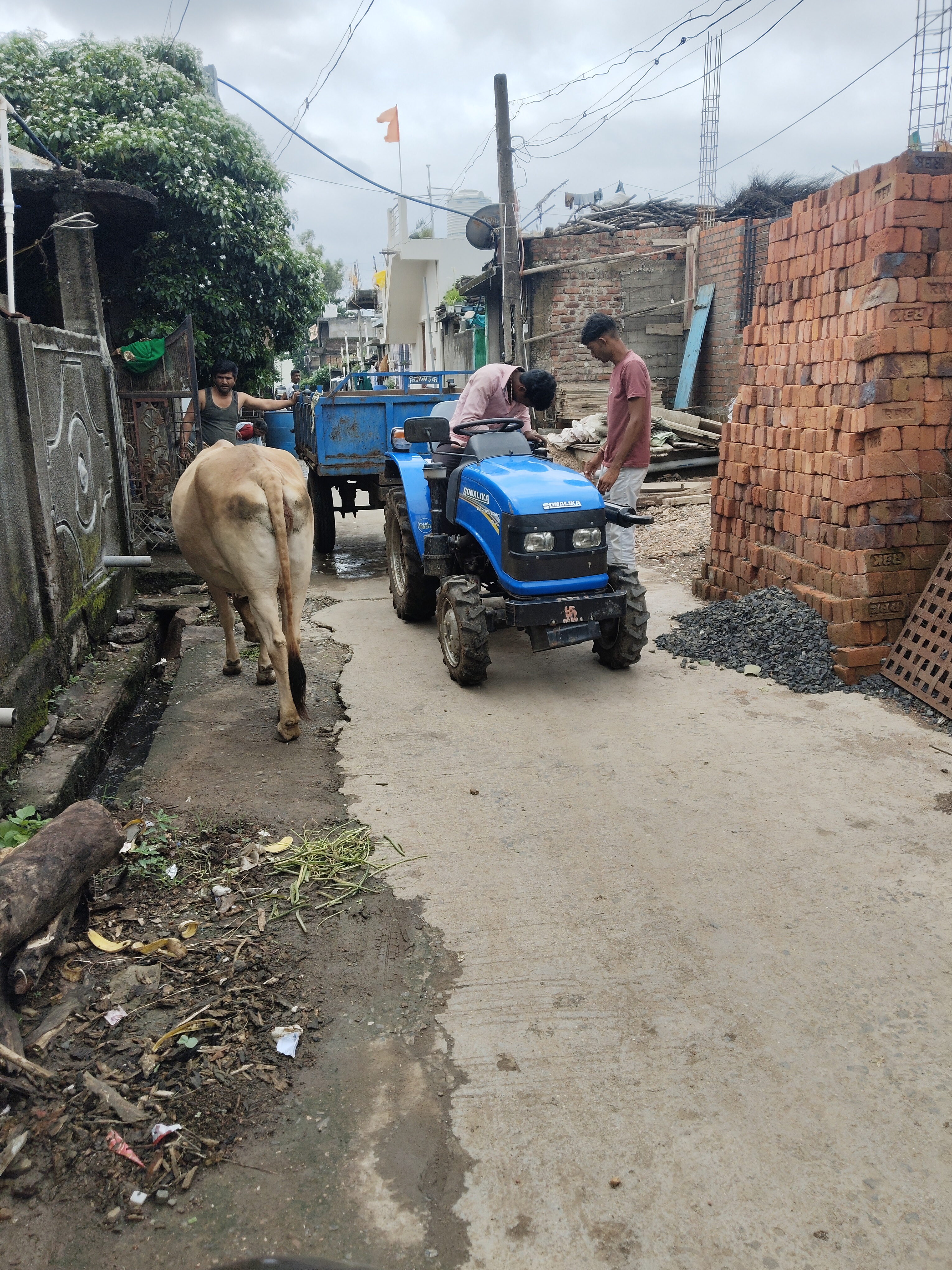 स्वच्छ भारत